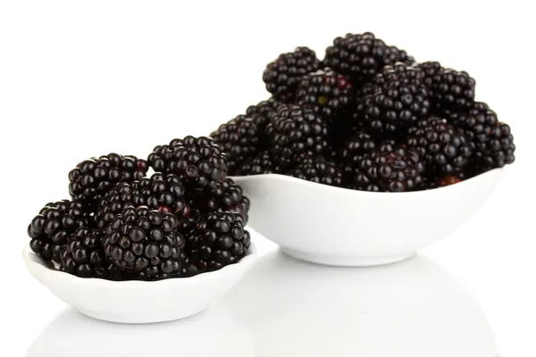 Sweet blackberry in bowl isolated on white — Stock Photo, Image