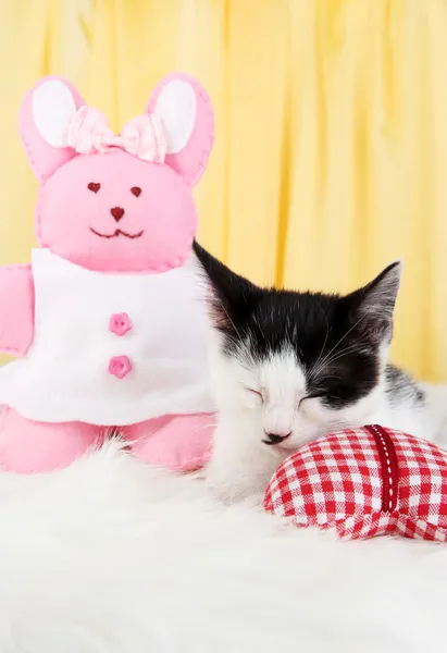 Small kitten on white carpet on fabric background — Stock Photo, Image