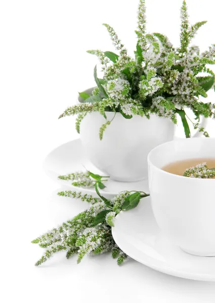 Cup of herbal tea with fresh mint flowers isolated on white — Stock Photo, Image