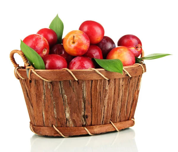 Ripe plums in basket isolated on white — Stock Photo, Image