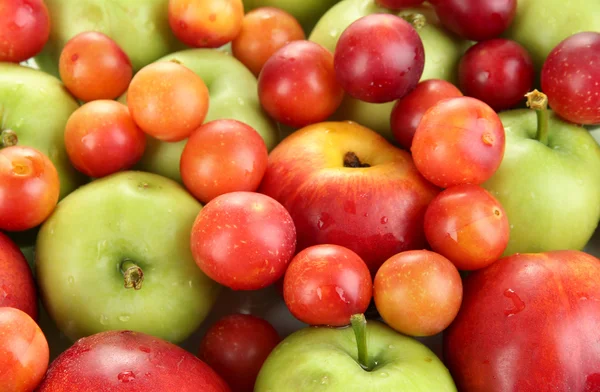 Frutas suculentas fundo — Fotografia de Stock