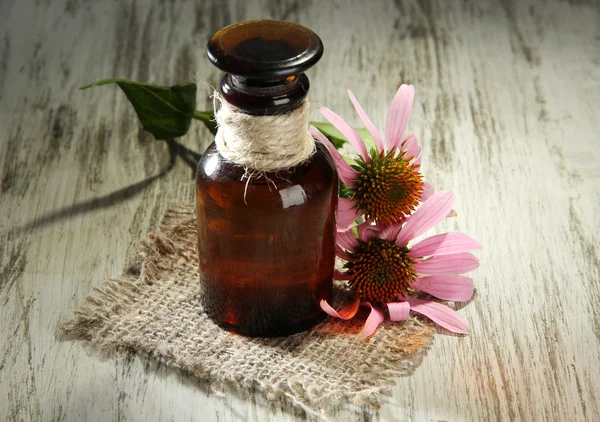 Botella de medicina con flores de equinácea púrpura sobre mesa de madera — Foto de Stock