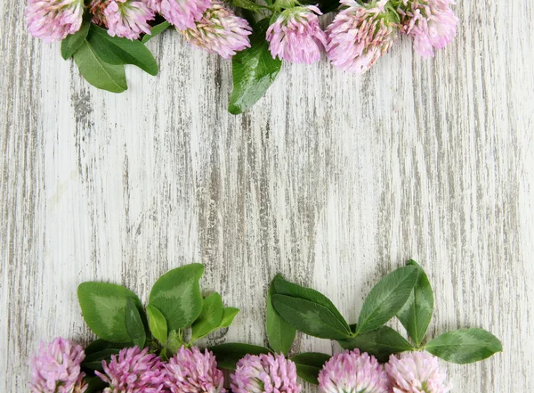 Clover flowers on wooden background — Stock Photo, Image