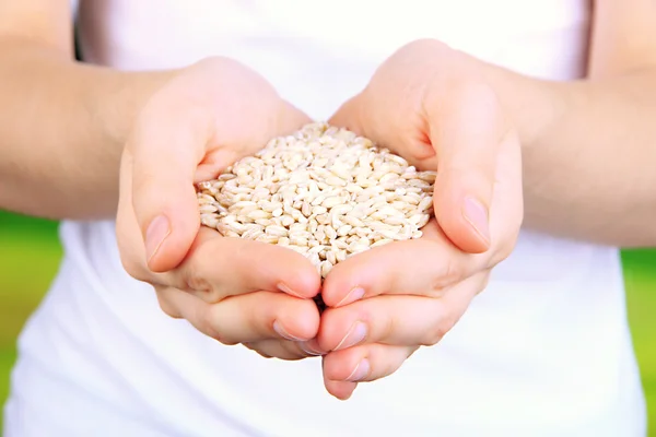 Wheat grain in female hands on natural background — Stockfoto