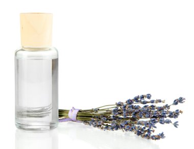aromatik beyaz izole lavanta kokusu ile ev için sopa