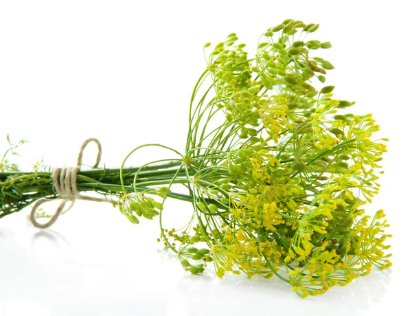 Fresh dill flowers, isolated on white — Stock Photo, Image