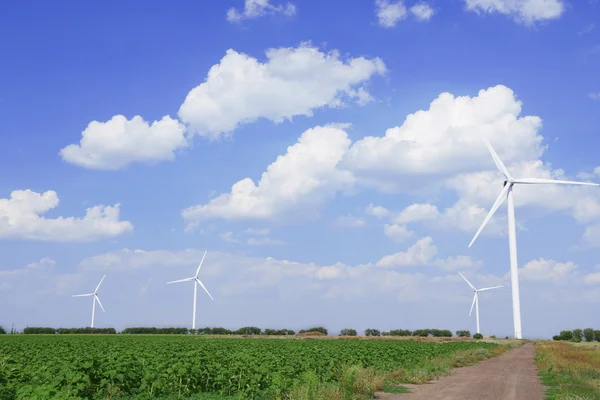 Windmills field — Stock Photo, Image