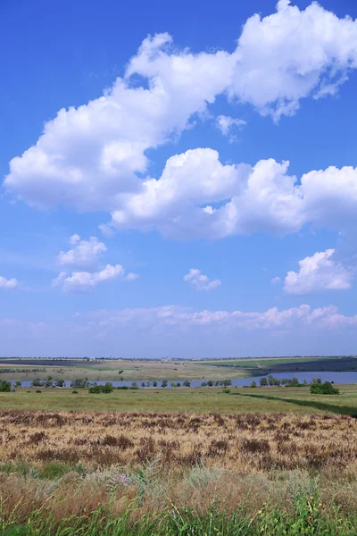 Vackra landskap med gröna ängen, river och blå himmel — Stockfoto