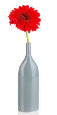 güzel gerbera cam aranjman beyaz izole