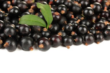 Beyazda siyah frenk üzümü