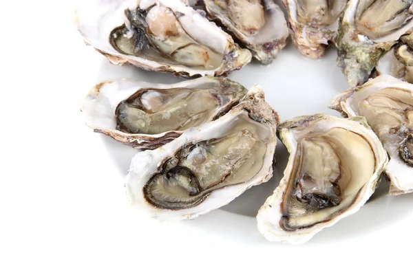 Oysters isolated on white — Stock Photo, Image