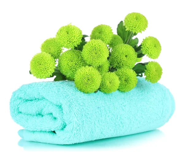 Krásná zelená chryzantéma s ručníkem izolovaných na bílém — Stock fotografie