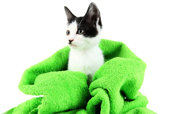 Petit chaton en serviette verte isolé sur blanc — Photo