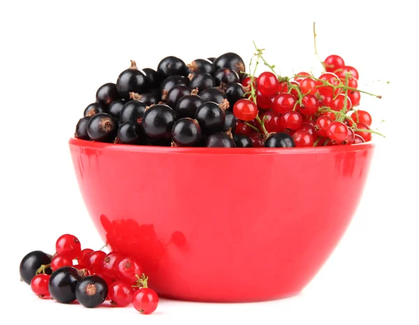 Röda och svarta vinbär i skål isolerad på vit — Stockfoto