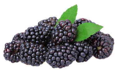 tatlı Blackberry'li üzerinde beyaz izole et.