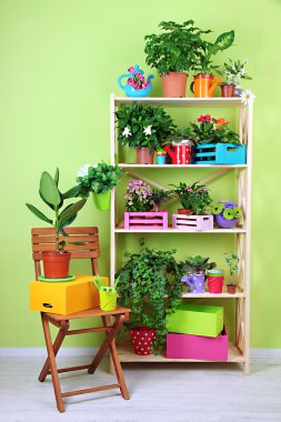 Tencere Oda çok güzel çiçekler