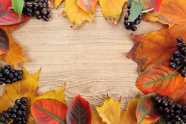 Heldere herfstbladeren en wilde bessen, op houten achtergrond — Stockfoto