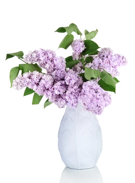 Vackra lila blommor isolerad på vit — Stockfoto