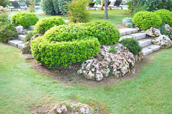 Landschap in de tuin — Stockfoto