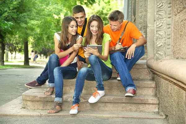 Grupo feliz de jovens estudantes sentados no parque — Fotografia de Stock