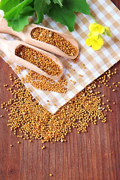 Mustard seeds with mustard flower on wooden background — Stock Photo, Image