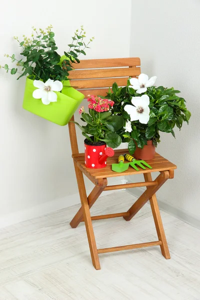 Many beautiful flowers on chair in room close-up — Stock Photo, Image