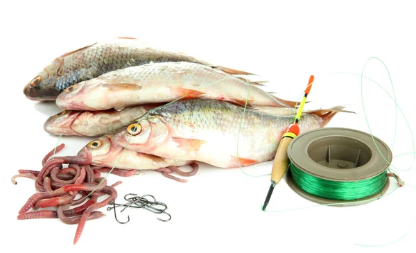 Peixes e instrumentos de pesca isolados sobre branco — Fotografia de Stock