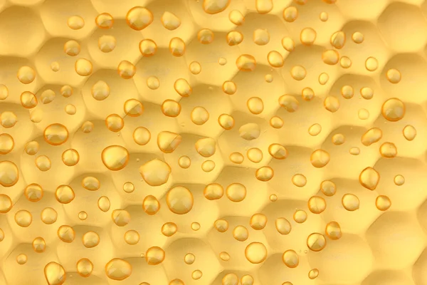 Textura favos de mel close-up fundo — Fotografia de Stock