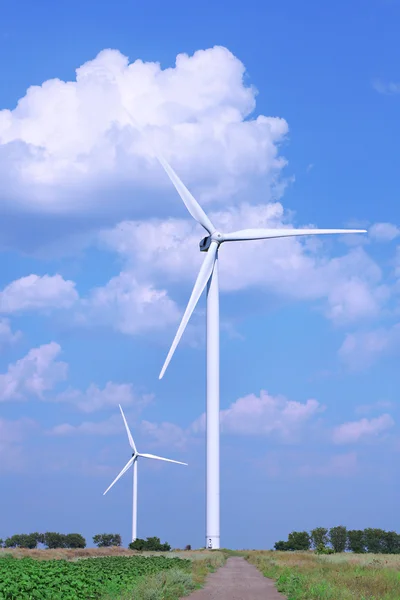 Campo de moinhos de vento — Fotografia de Stock