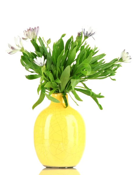 Bouquet of beautiful summer flowers in color vase, isolated on white — Stock Photo, Image