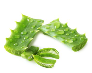 Aloe yaprakları damla, üzerinde beyaz izole
