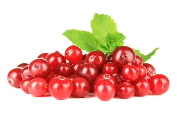 Cranberry merah matang, terisolasi pada whit — Stok Foto