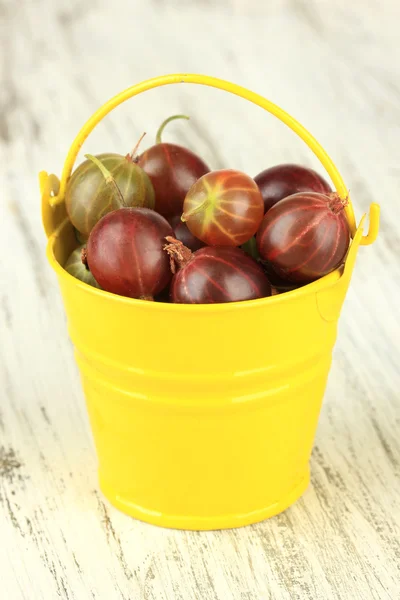 Frische Stachelbeeren im Eimer auf dem Tisch in Großaufnahme — Stockfoto