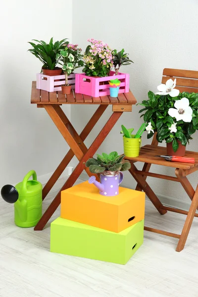 Many beautiful flowers on table and chair in room — Stock Photo, Image