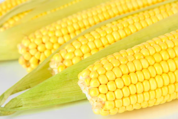 Crude corns isolated on white — Stock Photo, Image