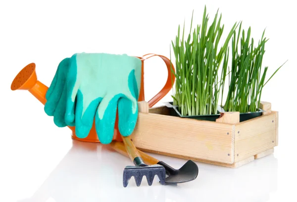 Caja de semillas con plántulas aisladas en blanco — Foto de Stock