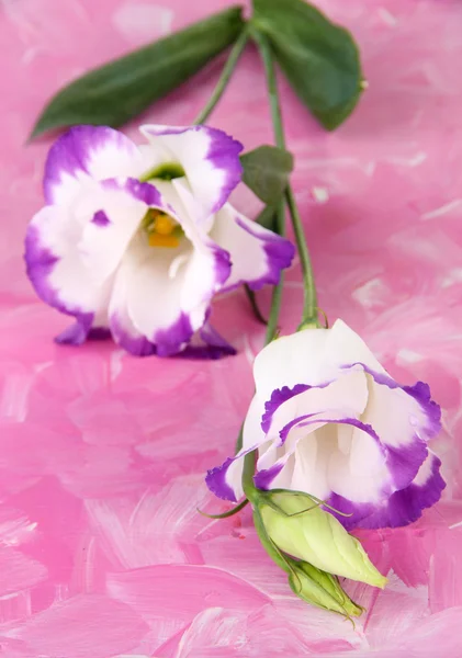 Boeket van eustoma bloemen op een houten achtergrond kleur — Stockfoto