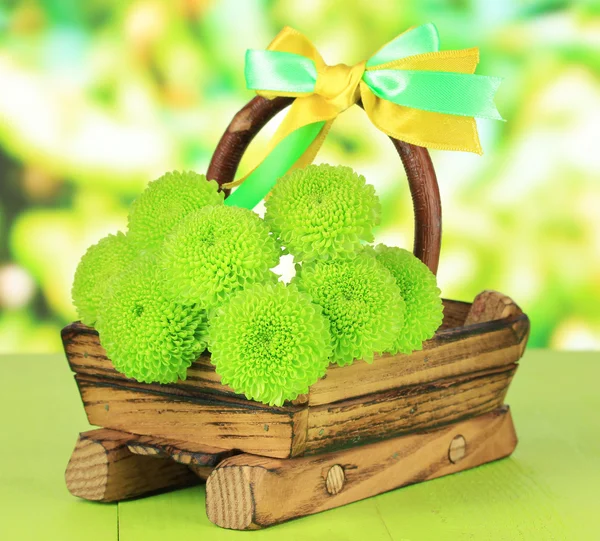 Prachtige groene chrysant op houten mandje op tafel op lichte achtergrond — Stockfoto