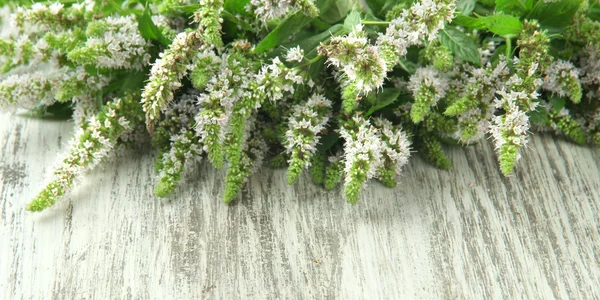 木製の背景に新鮮なミントの花 — ストック写真