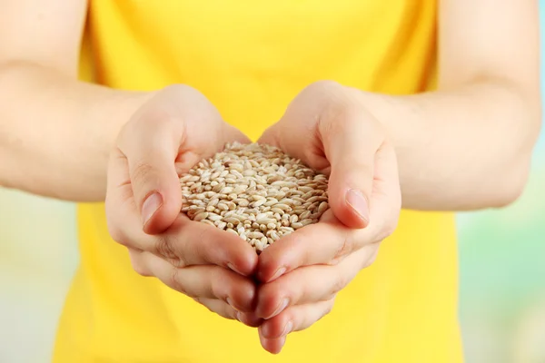 Grano de trigo en manos femeninas sobre fondo natural — Foto de Stock