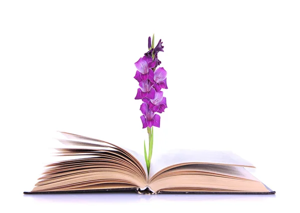 Open book with gladiolus flower isolated on white — Stock Photo, Image