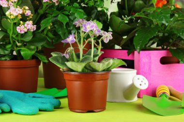 Tencere doğal zemin üzerine ahşap masa üzerine güzel çiçekler