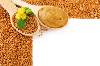 Hardal tohumu hardal çiçeği üzerinde beyaz izole ile