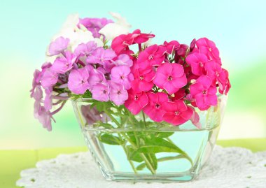 phlox kase üzerinde açık renkli masaya güzel buket