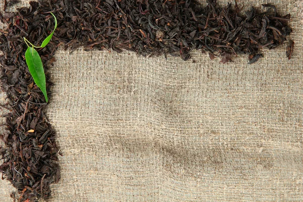 Rahmen aus trockenem schwarzen Tee mit grünen Blättern auf Klett-Hintergrund — Stockfoto