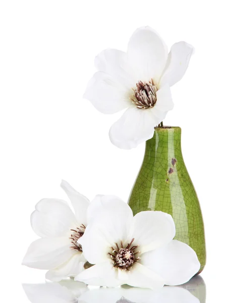 Beautiful magnolia in vase isolated on white — Stock Photo, Image