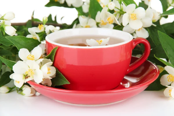 Secangkir teh dengan melati, terisolasi di atas putih — Stok Foto