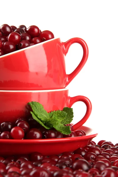Ripe red cranberries in cups, isolated on whit — Stock Photo, Image