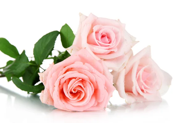 Beau bouquet de roses isolé sur blanc — Photo