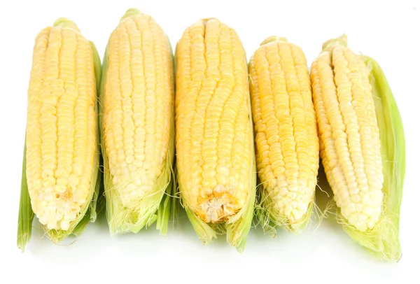 Čerstvá kukuřice zeleniny izolované na bílém — Stock fotografie